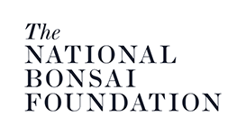 the national bonsai foundation logo