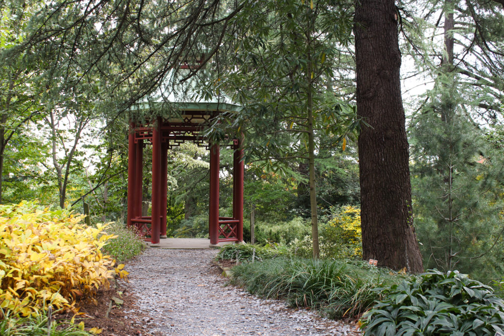 pagoda in the asian collections