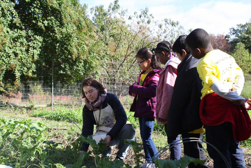 fona staff with students on a field trip in washington youth garden