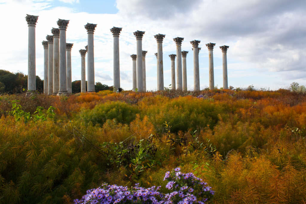 capitol columns in fall with flowers