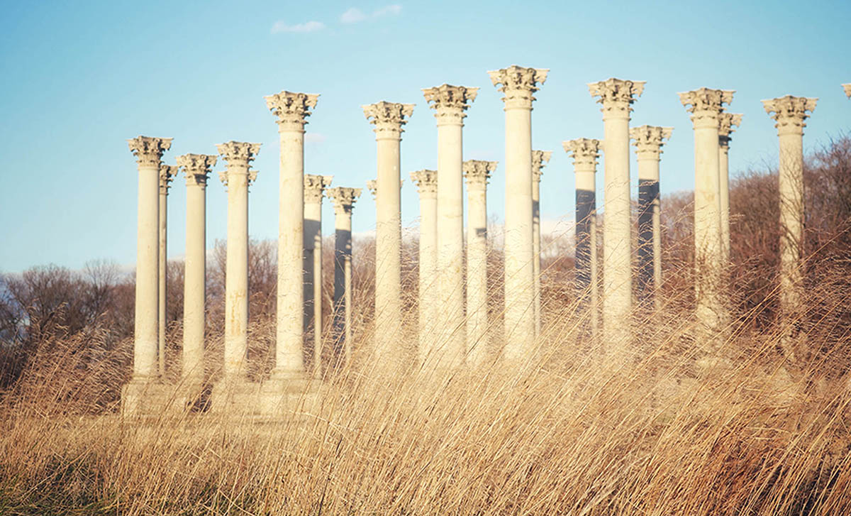 vintage photo of capitol columns