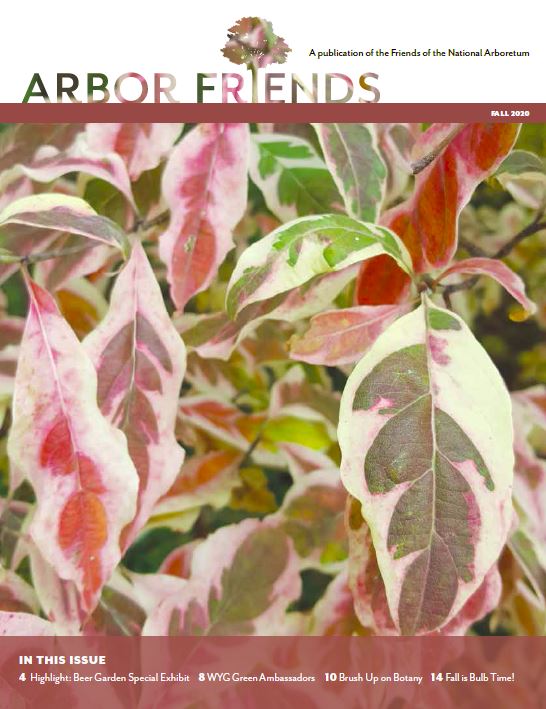 Fall 2020 Arbor Friends cover
