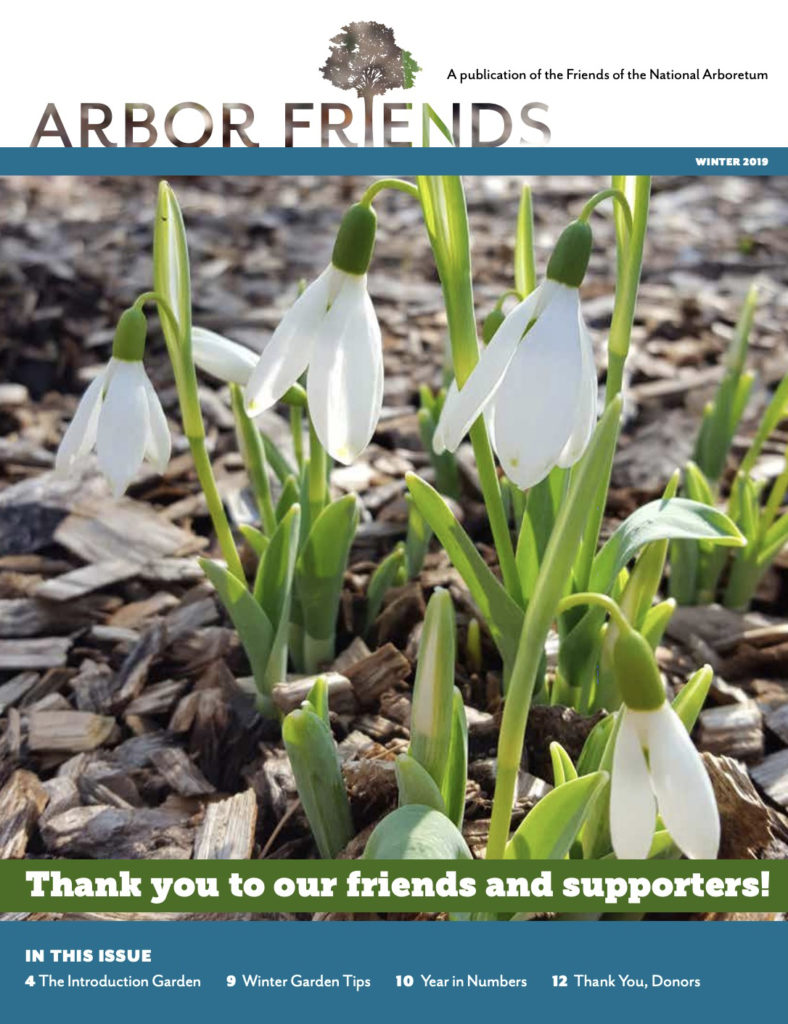 Winter 2019 Arbor Friends cover