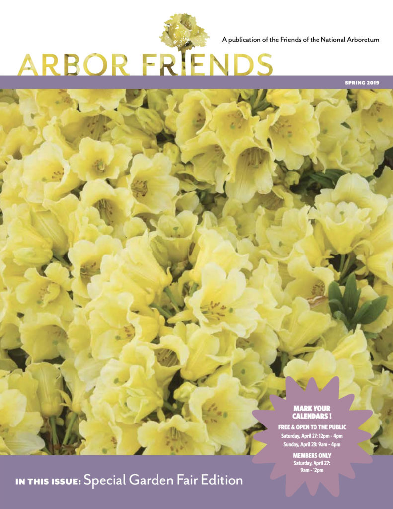 Spring 2019 Arbor Friends cover