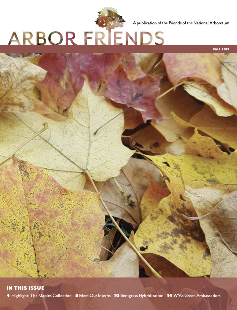 Fall 2019 Arbor Friends cover