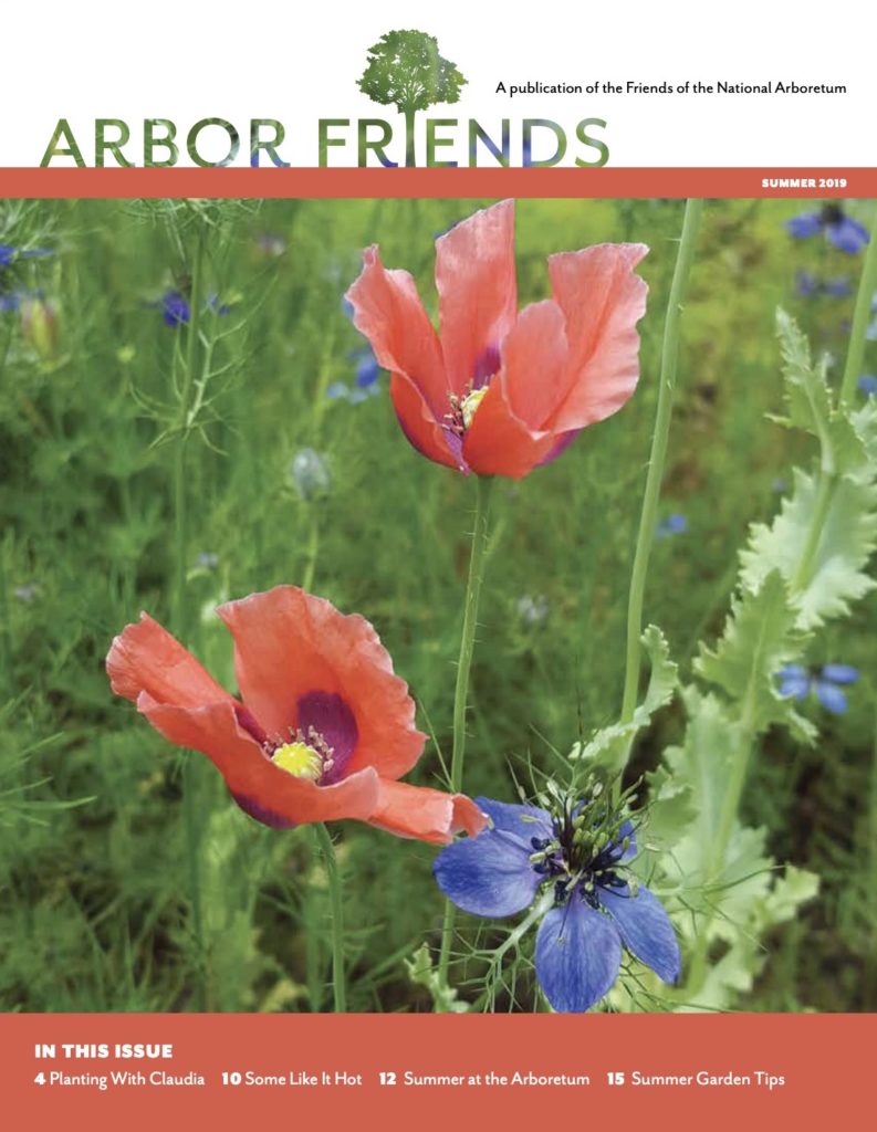 Summer 2019 Arbor Friends cover