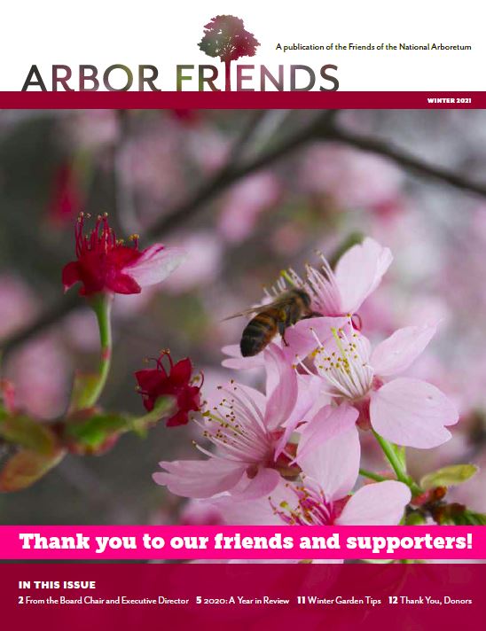 Winter 2021 Arbor Friends cover