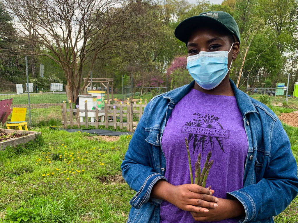 fona staff holding asparagus in the washington youth garden