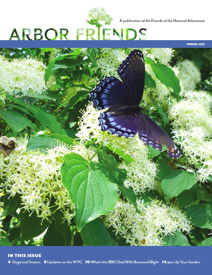Spring 2021 Arbor Friends cover