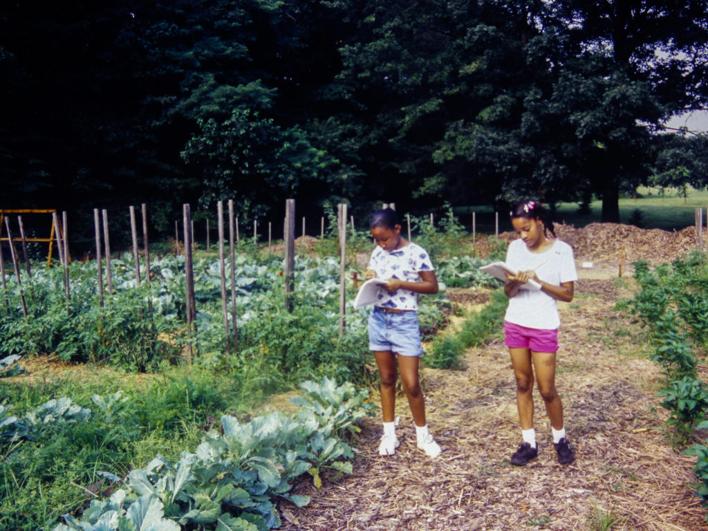 historic photo of students taking notes as they walk through the washington youth garden