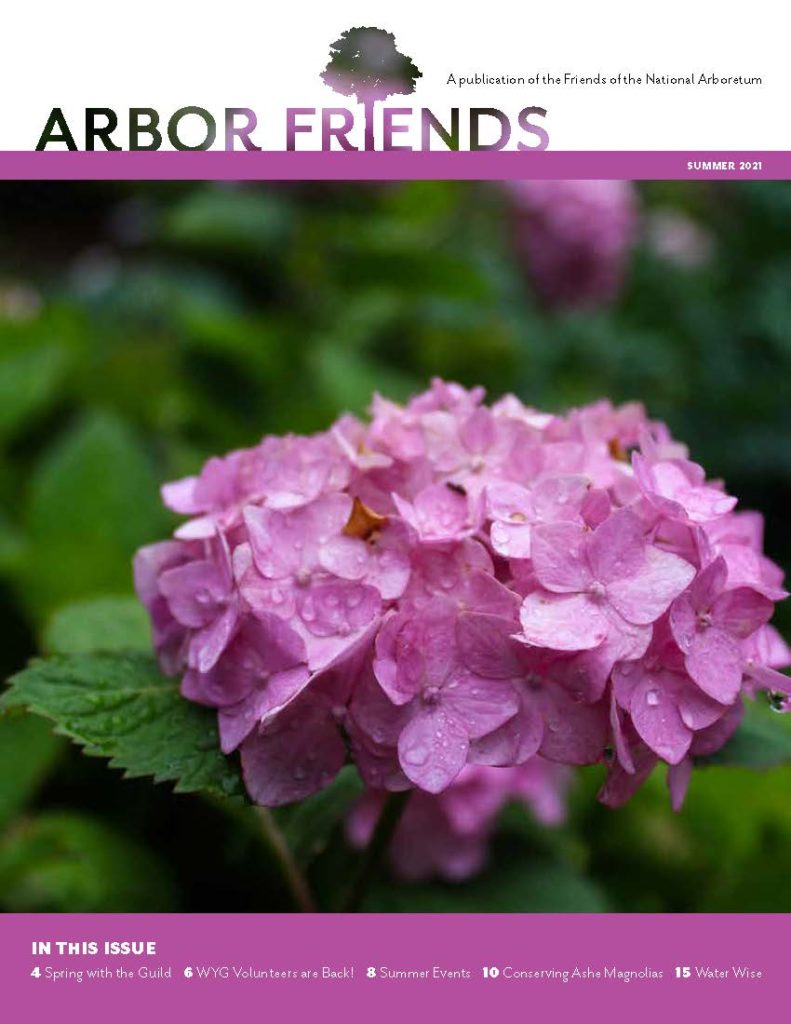 summer 2021 arbor friends cover