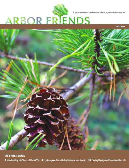Fall 2021 Arbor Friends cover