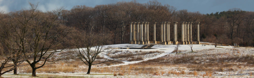 FONA Field Notes banner of capitol columns in snow