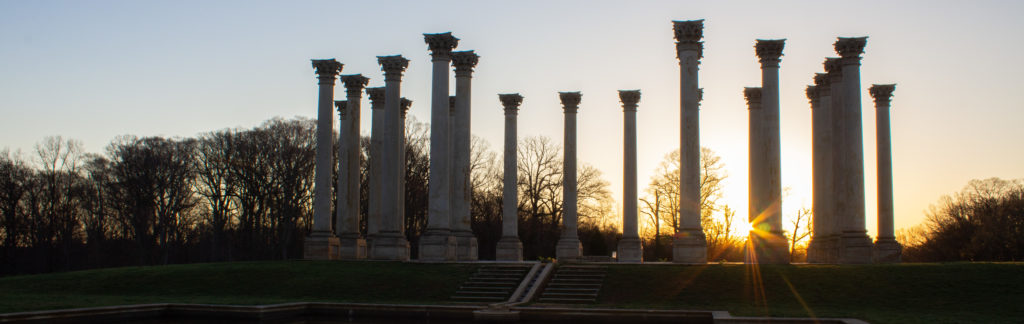 FONA Field Notes banner of capitol columns in winter