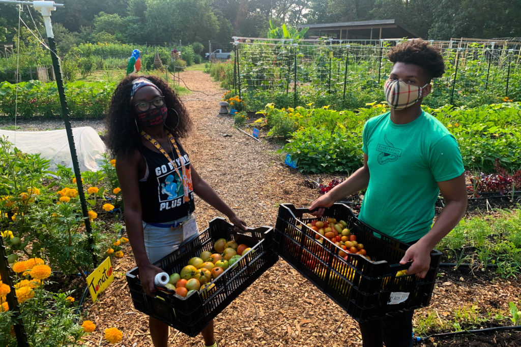 Washington Youth Garden farm crew