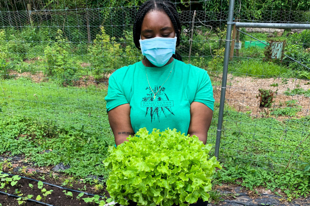 Washington Youth Garden green ambassadors