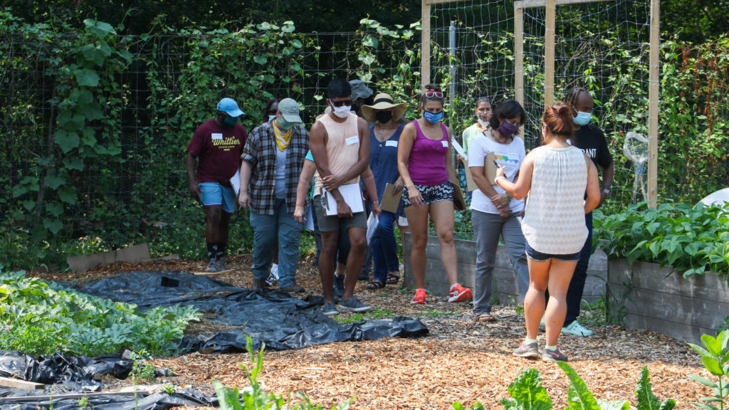 educators participating in the summer institute for garden-based teaching