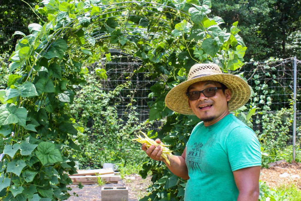 xavier picking beans at the washington youth garden