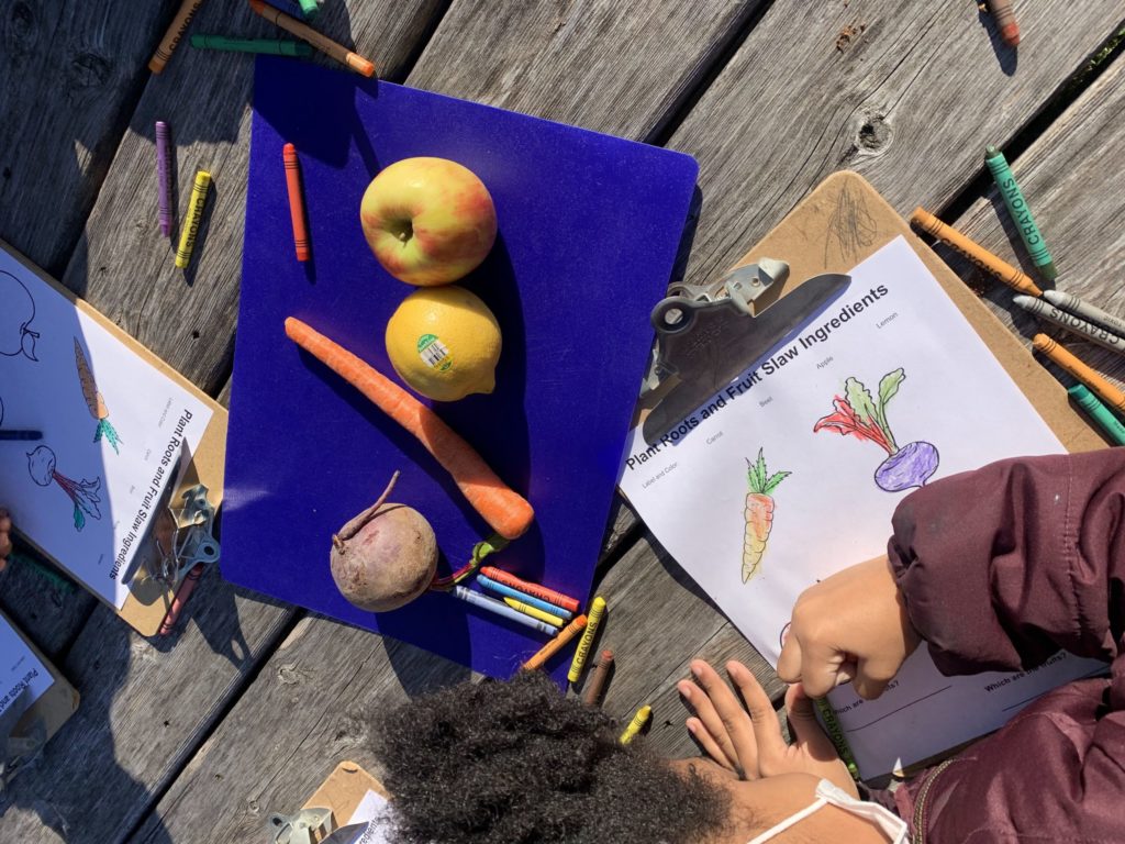 students learning about plant parts during a school garden support program event