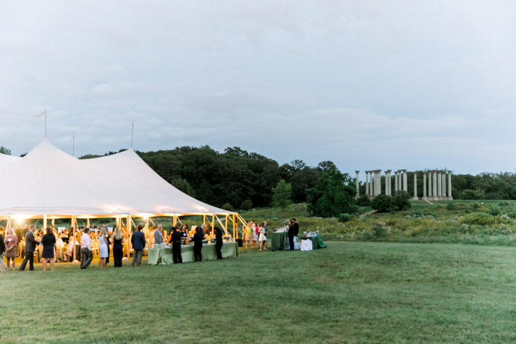 solstice soiree tent with capitol columns in the background