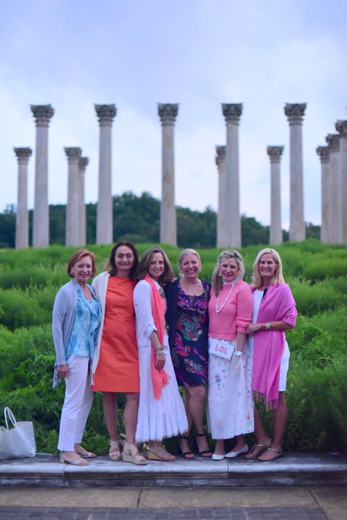 dinner under the stars guests in front of the capitol columns