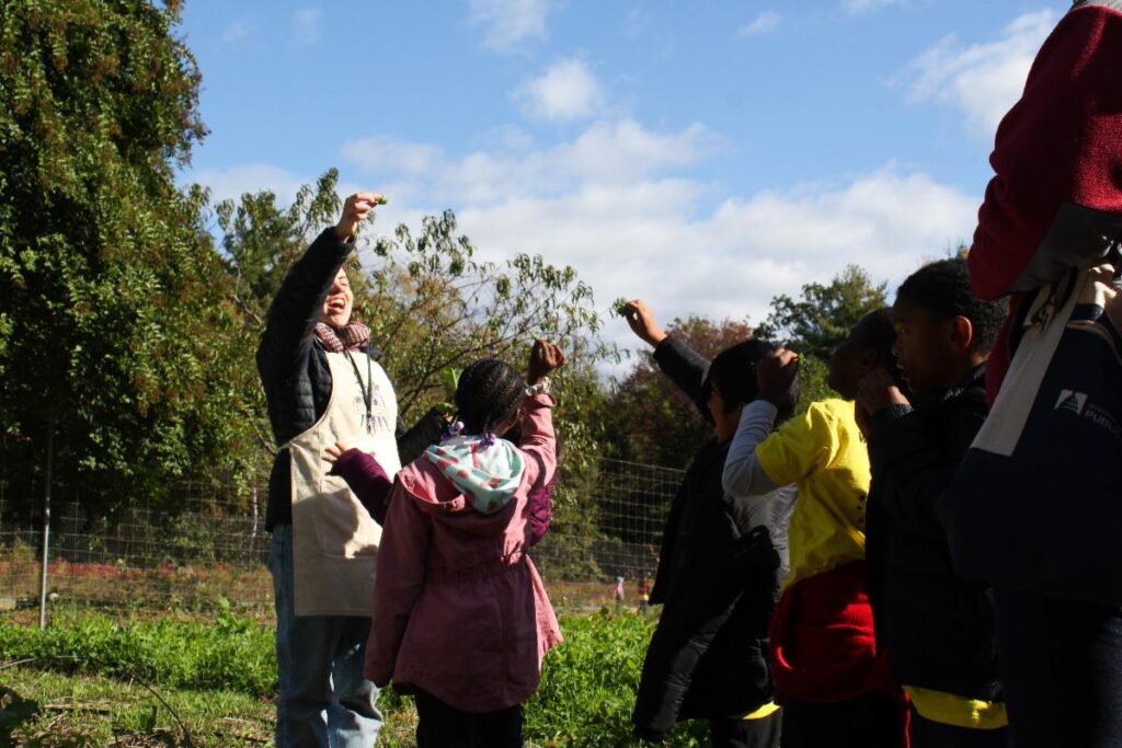 Students try kale on a field trip in the washington youth garden