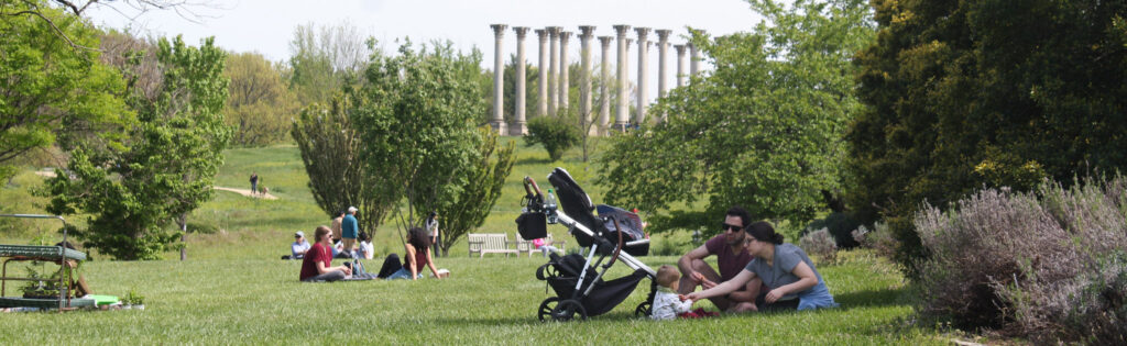 picnic in the meadow