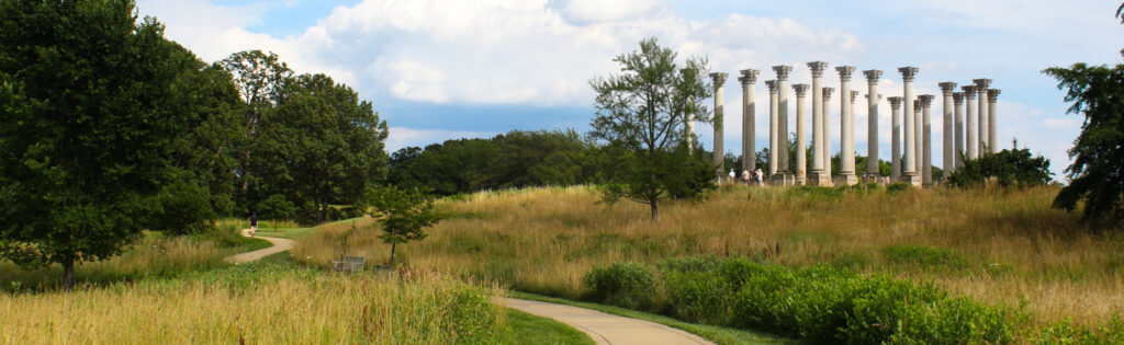 capitol columns in summer