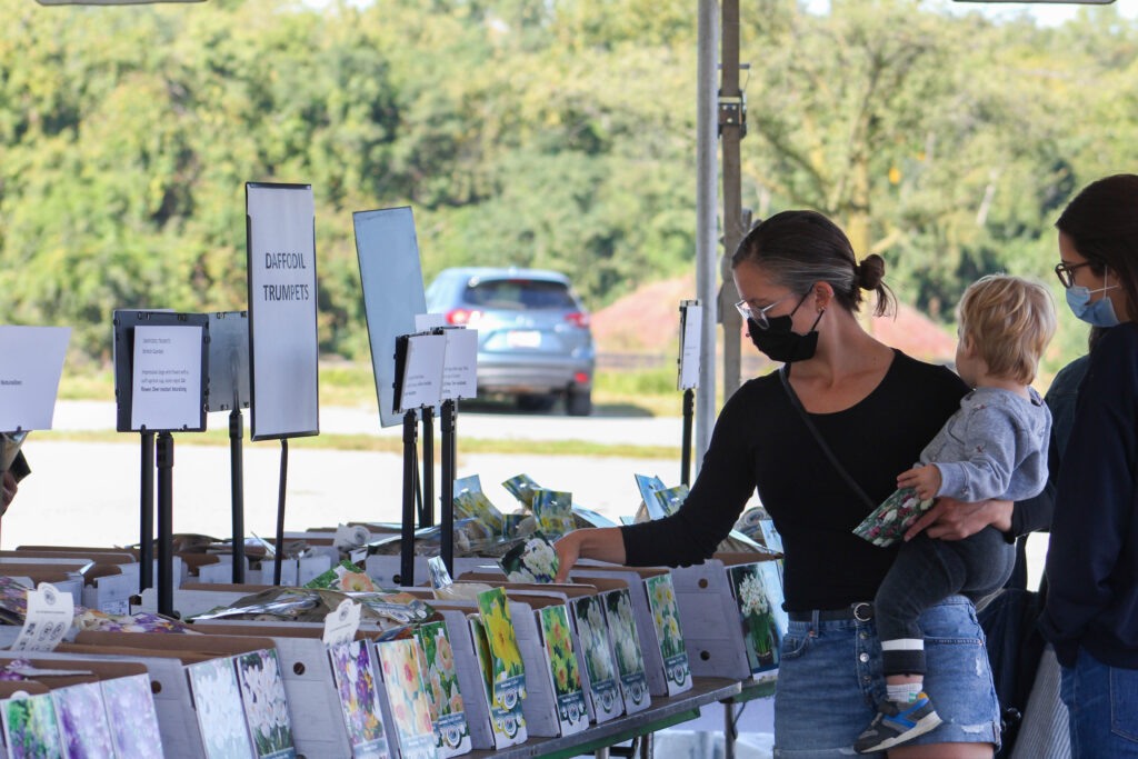 bulb sale attendee browsing bulbs