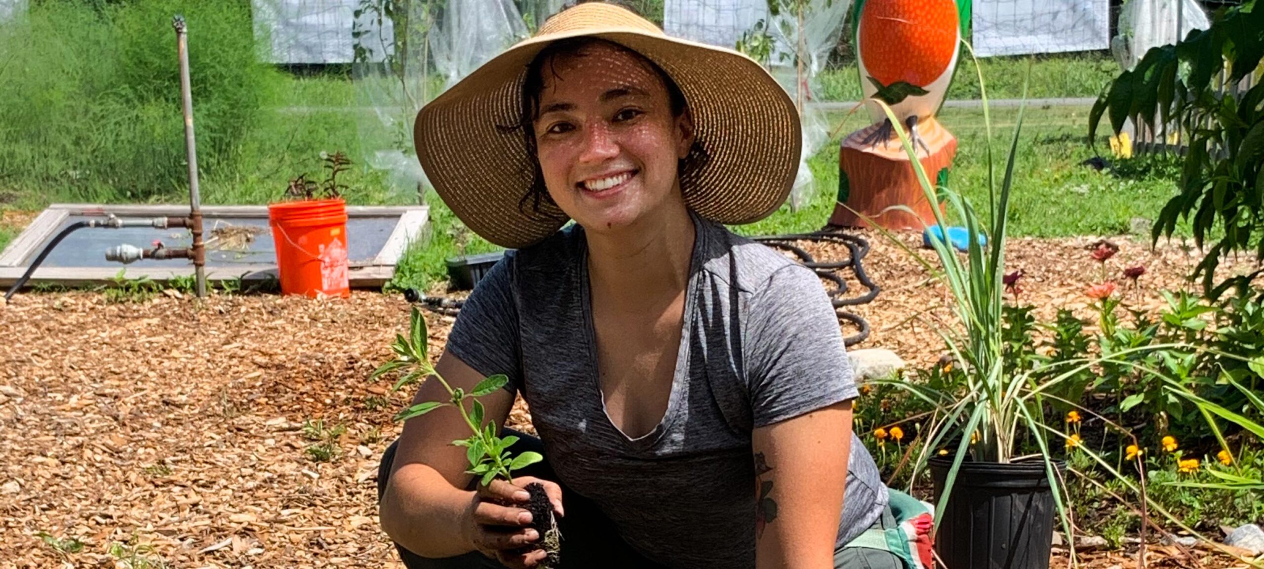 Emilia planting seedlings in the Washington Youth Garden