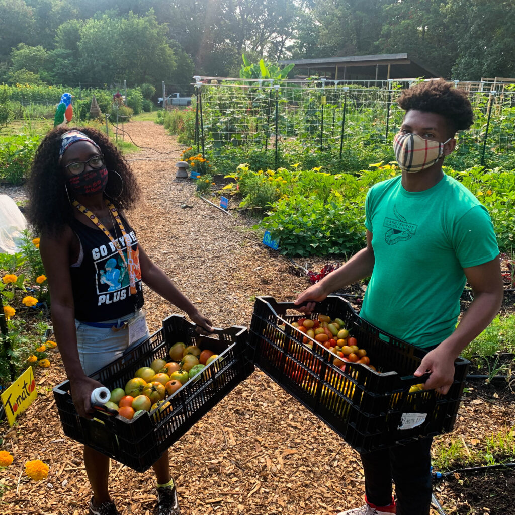 Green Ambassadors with harvested produce in the Washington Youth Garden
