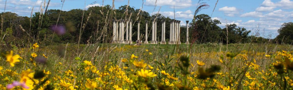 FONA Field Notes banner of capitol columns meadow