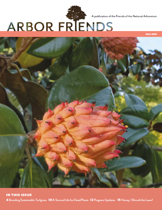 Fall 2022 Arbor Friends cover