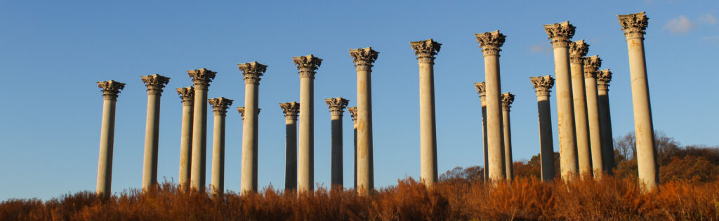 FONA Field Notes banner of Capitol Columns