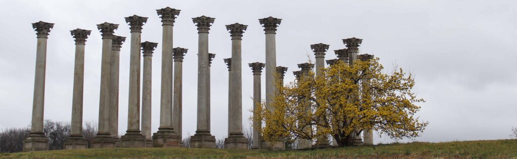FONA Field Notes banner of cornelian flowering dogwoods in front of the capitol columns
