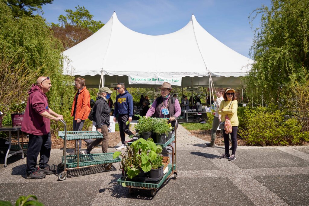 garden fair and plant sale attendees with cart full of plants