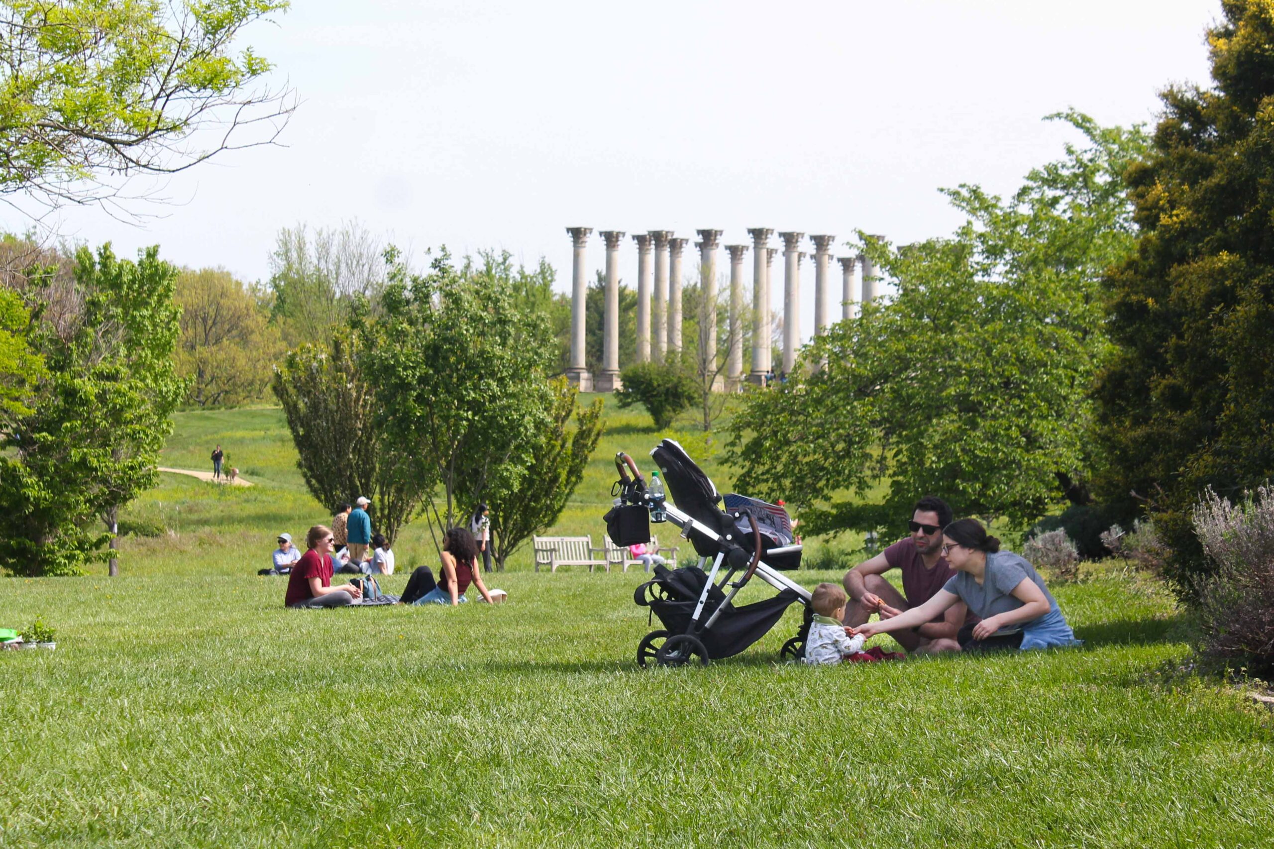 visitors eating a picnic in front of the capitol columns