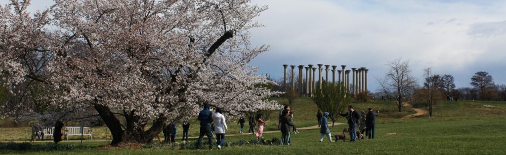 FONA Field Notes banner of flowering cherry tree and visitors in front of the Capitol Columns