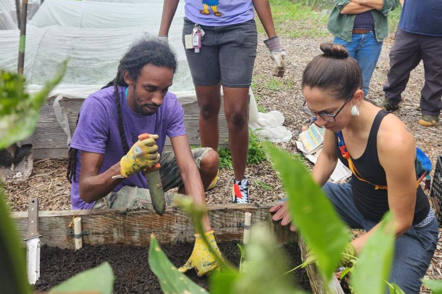 educators planting in the washington youth garden