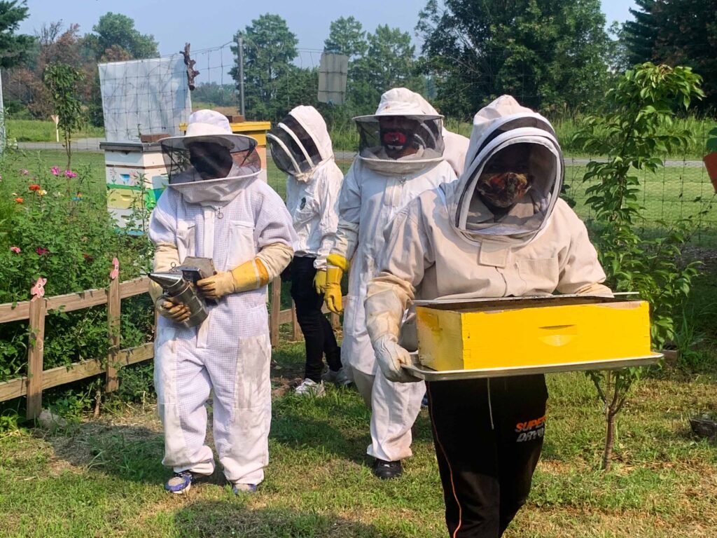 Green Ambassadors in the Washington Youth Garden