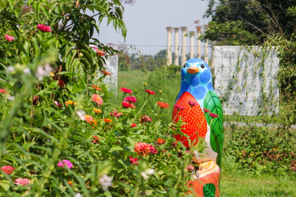 Berry Bird stands in Washington Youth Garden with the Capitol columns in the background. This beloved bird sculpture is painted to look like it is made of different types of berries.