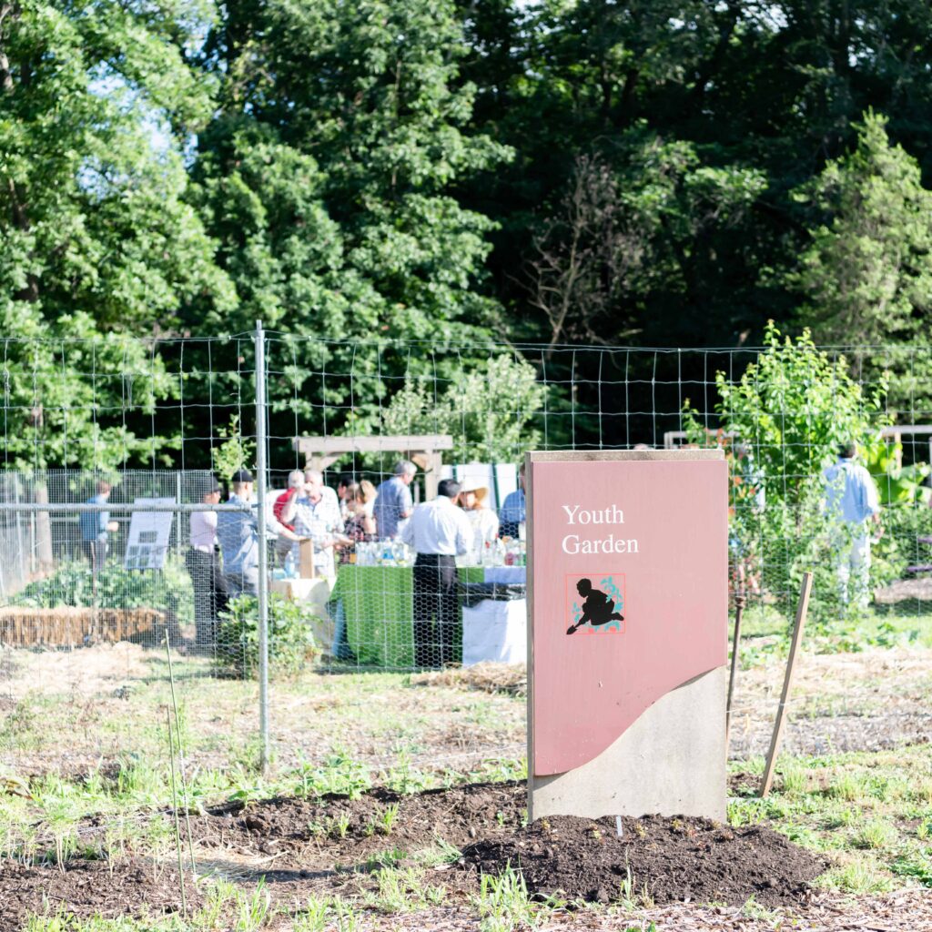 looking into the washington youth garden from the front outside the fence