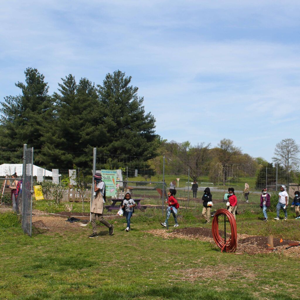 elementary school students walk into washington youth garden for a field trip
