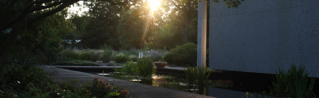 sun setting behind the visitor setting, used as a newsletter banner