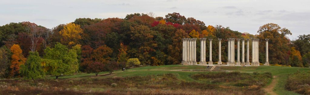 trees changing colors behind the capitol columns, used as a newsletter banner