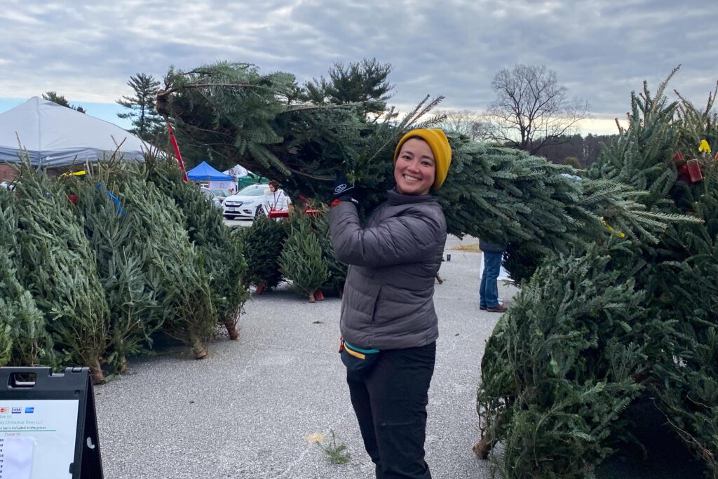 Emilia holding a christmas tree during the annual winter festival and tree sale