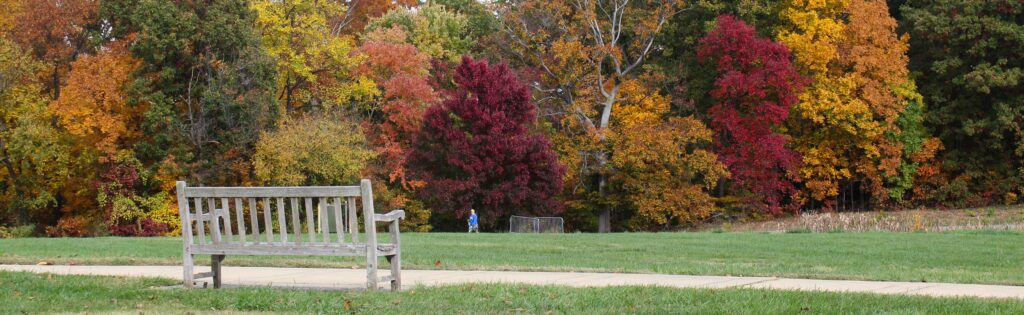 bench looking out over fall colored trees