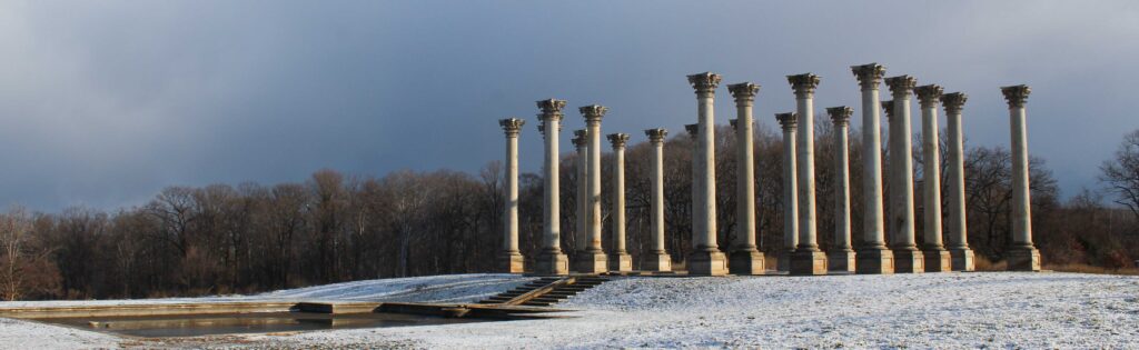 captiol columns in snow