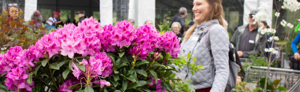 flowering rhododendrons fill a shopping cart at the garden fair and plant sale