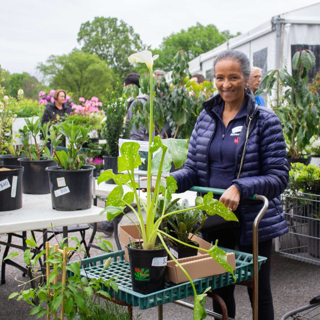 FONA member with plants at the Garden Fair & Plant Sale
